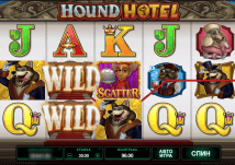 slot in Casino MIRA – Hound Hotel