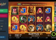 slot hot safari malina casino